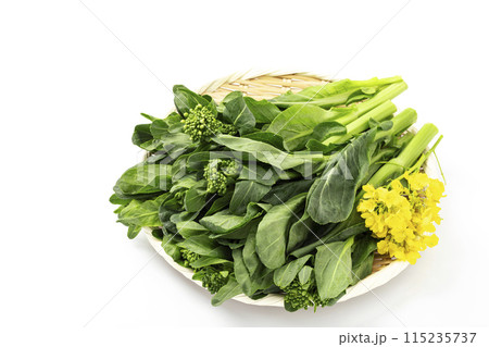 盆ざるに盛った春野菜の菜の花_白バック 盆ざるに盛った春野菜の菜の花_白バック 115235737