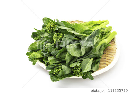 盆ざるに盛った春野菜の菜の花_白バック 盆ざるに盛った春野菜の菜の花_白バック 115235739