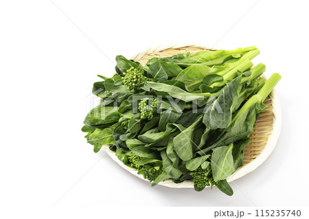 盆ざるに盛った春野菜の菜の花_白バック 115235740
