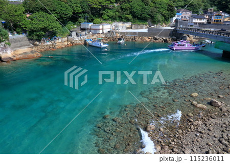 柏島 美しい航跡波を眺める (高知県 大月町) 柏島 美しい航跡波を眺める (高知県 大月町) 115236011