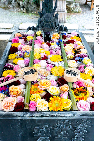 京都府長岡京市　西山　楊谷寺 (柳谷観音)　龍手水（花手水） 115236038