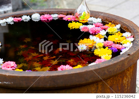 京都府長岡京市　西山　楊谷寺 (柳谷観音)　若手水（阿弥陀堂） 115236042