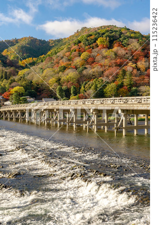 京都市右京区 嵯峨天龍寺 嵐山 渡月橋 桂川 紅葉 京都市右京区 嵯峨天龍寺 嵐山 渡月橋 桂川 紅葉 115236422