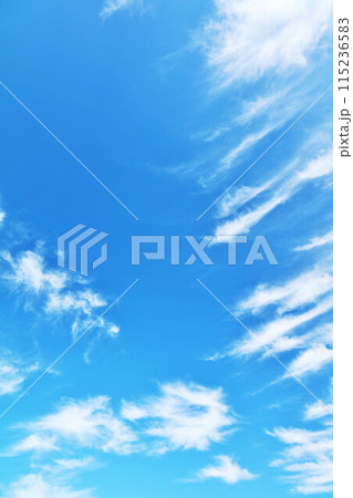 秋の青空と雲 115236583