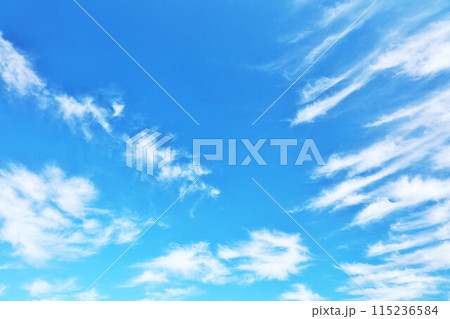 秋の青空と雲 秋の青空と雲 115236584