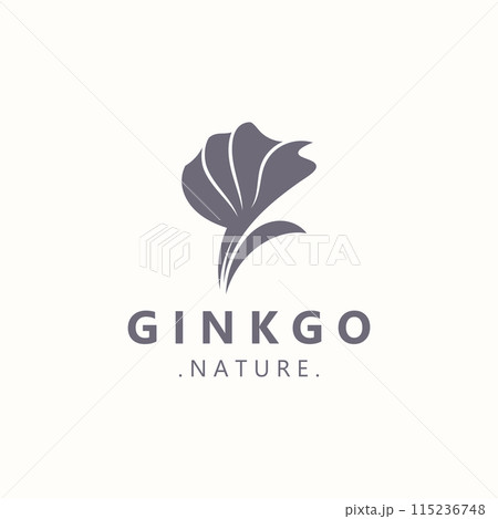 Ginkgo leaf biloba logo nature. Healthy ingredient that is used in medicine for disease treatment with line art style design template 115236748