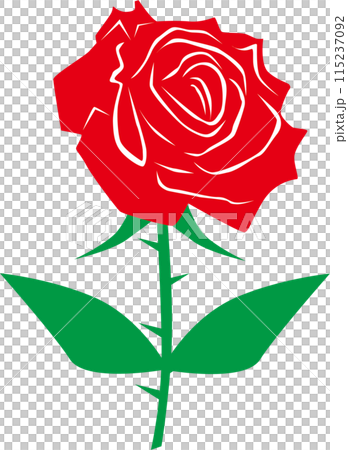 Illustration of a red rose 115237092