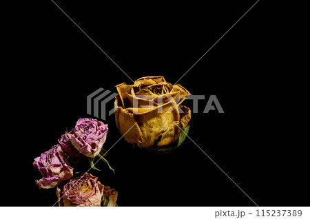 バラのドライフラワー 115237389