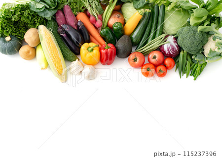色々な野菜　集合 115237396