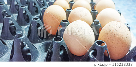 separated eggs images because notice that the skin is not beautiful separated eggs images because notice that the skin is not beautiful 115238338