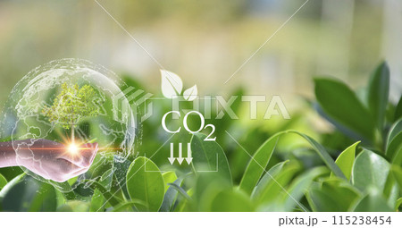 Concept to reduce global warming, increase green area clean air world Concept to reduce global warming, increase green area clean air world 115238454