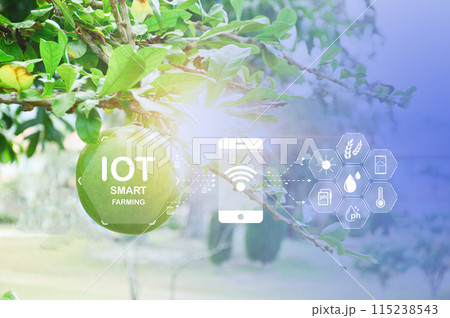Concept, use of the smart farmer system came to help Analysis of modern agriculture 115238543