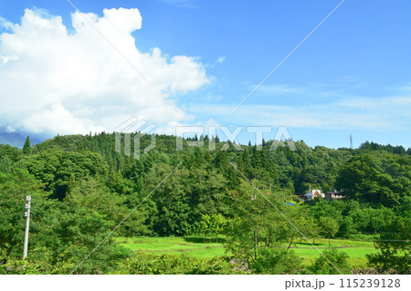 しなの鉄道北しなの線の古間駅から妙高高原駅までの車窓風景(2022年夏) しなの鉄道北しなの線の古間駅から妙高高原駅までの車窓風景(2022年夏) 115239128