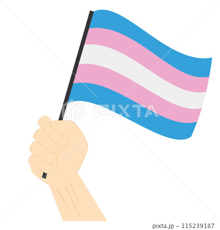 Hand holding and raising Transgender pride flag isolated on white background 115239187