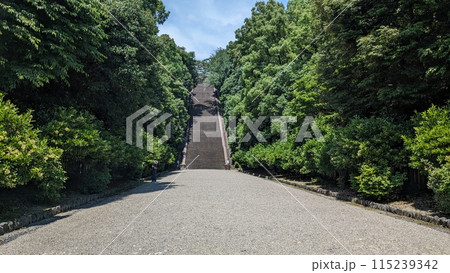 桃山の石段 桃山の石段 115239342