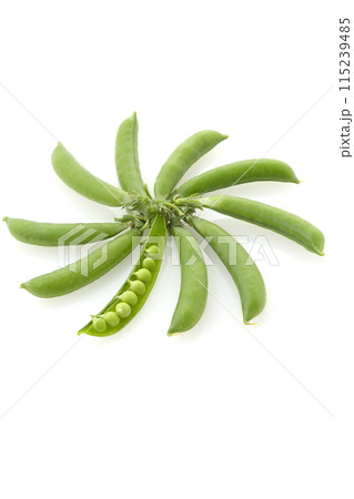スナップエンドウ豆粒 スナップエンドウ豆粒 115239485