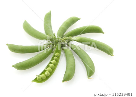 スナップエンドウ豆粒 スナップエンドウ豆粒 115239491