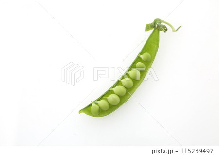 スナップエンドウ豆粒 115239497