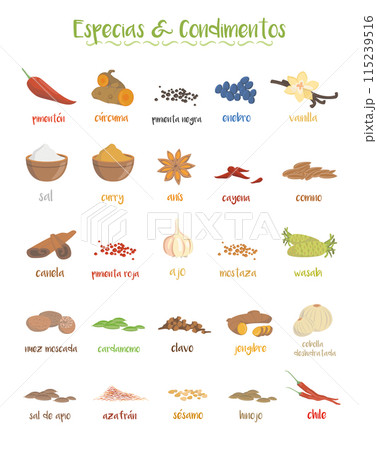 Set of 25 different culinary species and condiments in cartoon style. Spanish names. 115239516