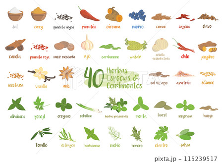Set of 40 different culinary herbs, species and condiments in cartoon style. Spanish names. 115239517