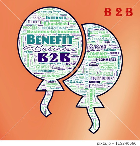 B2B B2B 115240660