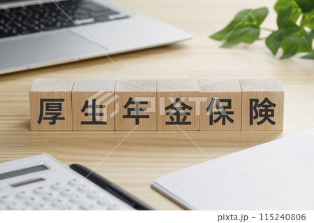 厚生年金保険と書かれた積み木のブロック 115240806