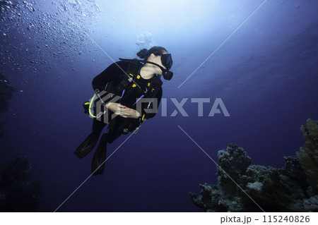 Girl Scuba Diver Diving on Tropical Coral Reef with Blue Background and Reef Fish. 115240826