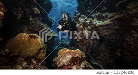 Girl Scuba Diver Diving on Tropical Coral Reef with Blue Background and Reef Fish. 115240830