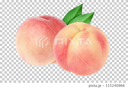 Peach illustration realistic white background Peach illustration realistic white background 115240966