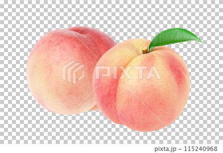 Peach illustration realistic white background Peach illustration realistic white background 115240968