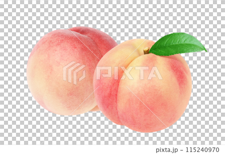 Peach illustration realistic white background 115240970
