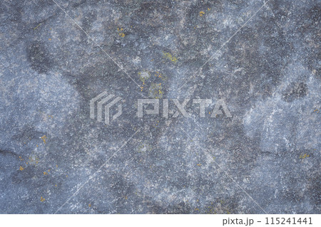 A fragment of a blue-gray stone with rosettes of lichen, natural rock background. 115241441