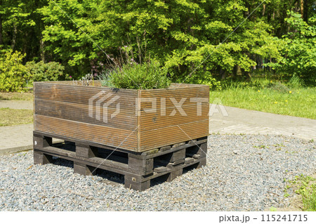 Garden box for growing plant on backyard garden. Home farming wooden beds Garden box for growing plant on backyard garden. Home farming wooden beds 115241715