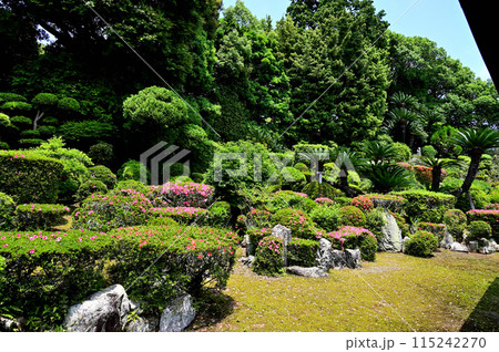 医王寺　サツキ咲く庭園　 115242270