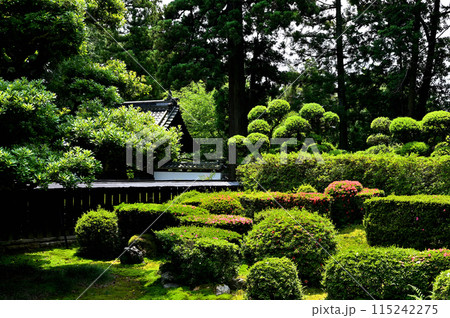 医王寺　サツキ咲く庭園　 115242275