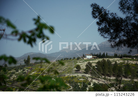 A white old cottage with an agricultural field with olive grove in mountain in the region of Jaen in Spain A white old cottage with an agricultural field with olive grove in mountain in the region of Jaen in Spain 115243226