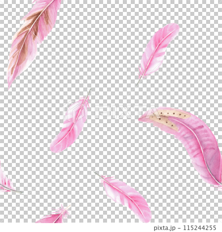 Pink Feathers Watercolor seamless pattern on white background. Hand drawn illustration. Can be used for fabric, textile and packaging prints. 115244255
