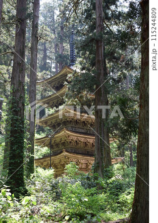 羽黒山の杉並木 115244809