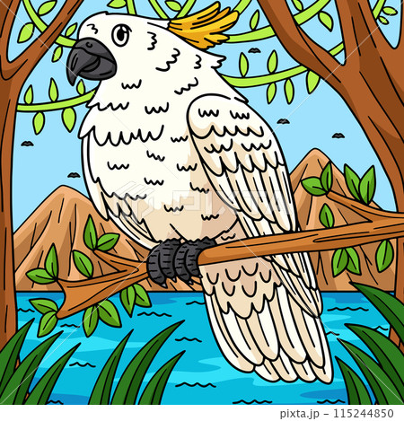 Cockatoo Bird Colored Cartoon Illustration 115244850