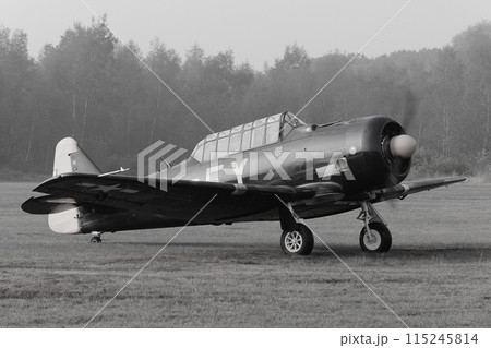 アメリカ軍ノースアメリカンT-6Gテキサン 115245814