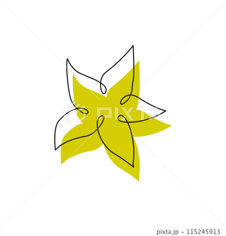 Carambola fruit in continuous one line drawing art Carambola fruit in continuous one line drawing art 115245913