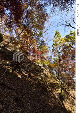 岩櫃山、登山、群馬県 115246073