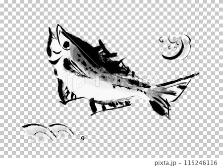 魚の鯵（アジ）の手書き和風筆イラスト素材 115246116