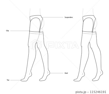 Stockings Suspenders Gatherbelt with diagram text names. Fashion accessory clothing technical illustration stocking. 115246191