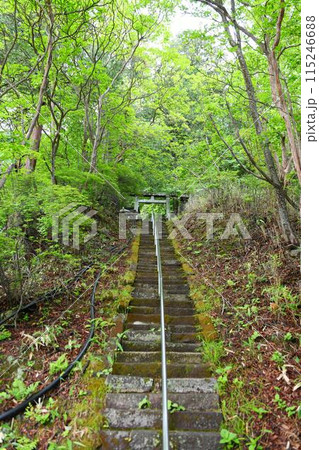 【那須塩原市 日光国立公園 奥塩原新湯温泉「温泉神社」参道石段と鳥居】 【那須塩原市 日光国立公園 奥塩原新湯温泉「温泉神社」参道石段と鳥居】 115246688