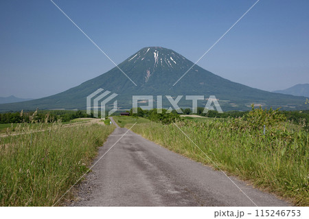 羊蹄山に続く道 羊蹄山に続く道 115246753