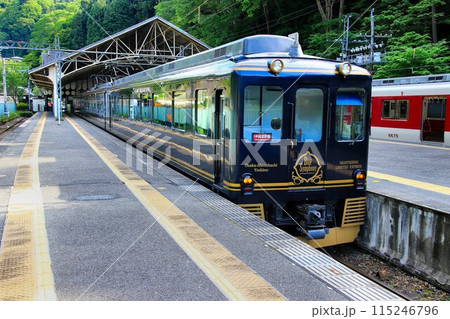 蒼い列車で大人旅・世界遺産『紀伊山地の霊場と参詣道』吉野駅へ … 近鉄観光特急【青の交響曲】 115246796
