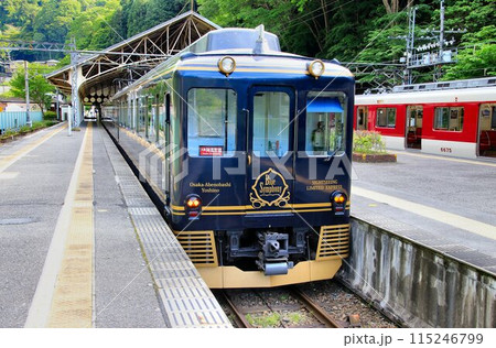 蒼い列車で大人旅・世界遺産『紀伊山地の霊場と参詣道』吉野駅へ … 近鉄観光特急【青の交響曲】 蒼い列車で大人旅・世界遺産『紀伊山地の霊場と参詣道』吉野駅へ … 近鉄観光特急【青の交響曲】 115246799