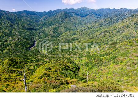 太鼓岩から　洋上アルプス屋久島国立公園(春 115247303