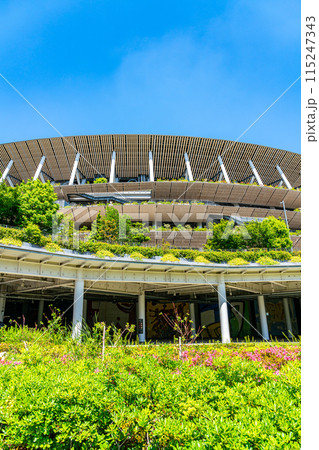 【東京都】爽やかな新緑が綺麗な新国立競技場 115247343